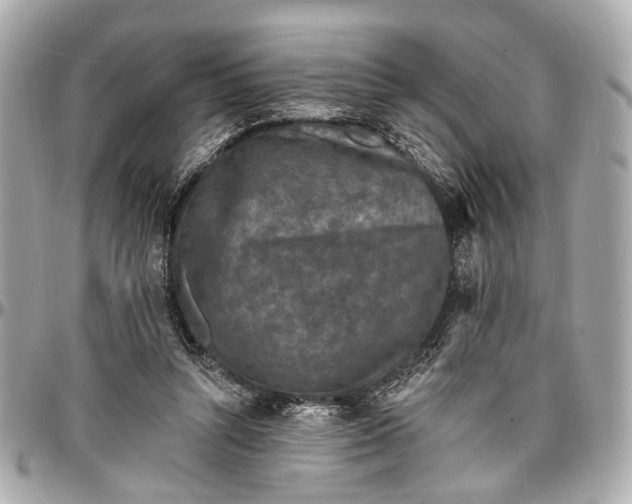 X0000096990352200802221503