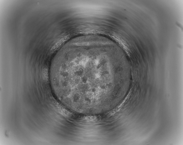 X0000096990353200802221503