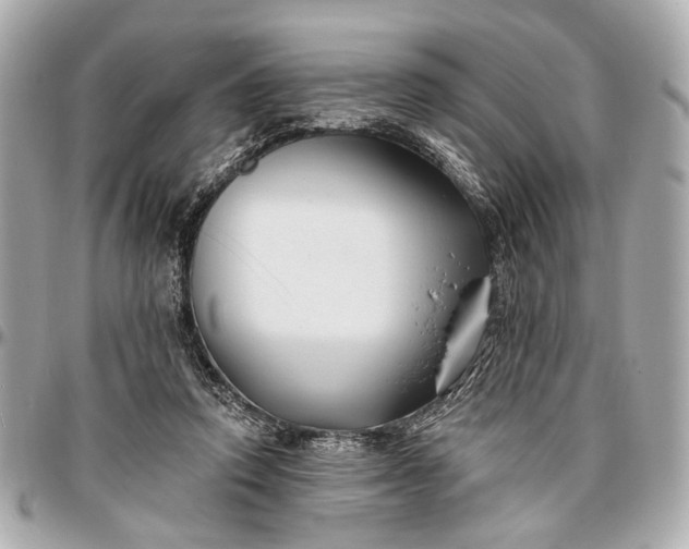 X0000096990354200802221503