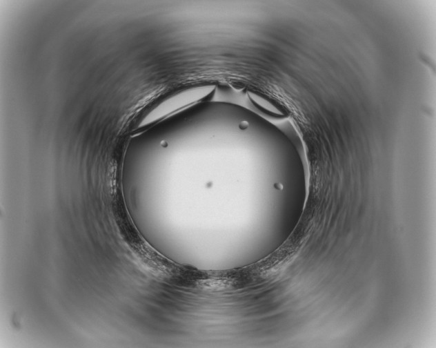 X0000096990356200802221503