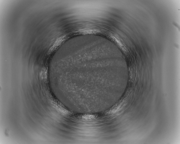 X0000096990357200802221503