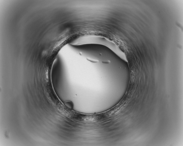 X0000096990358200802221503