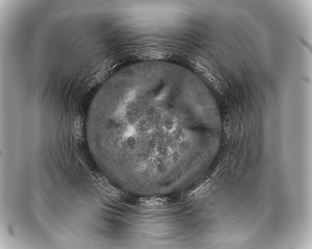 X0000096990359200802221503