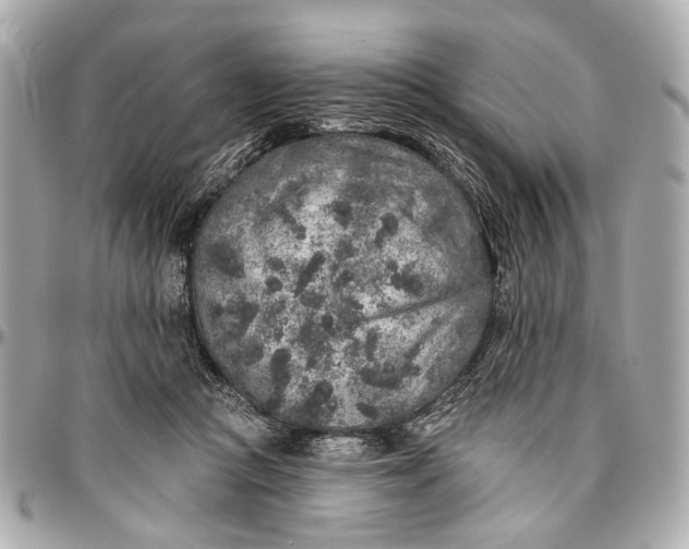 X0000096990361200802221503