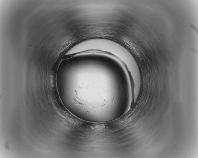 X0000096990362200802221503