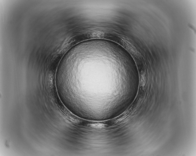 X0000096990363200802221503