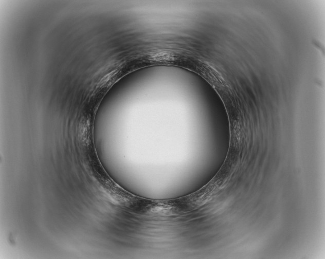 X0000096990364200802221503