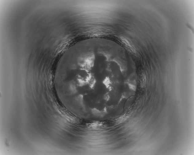 X0000096990366200802221503