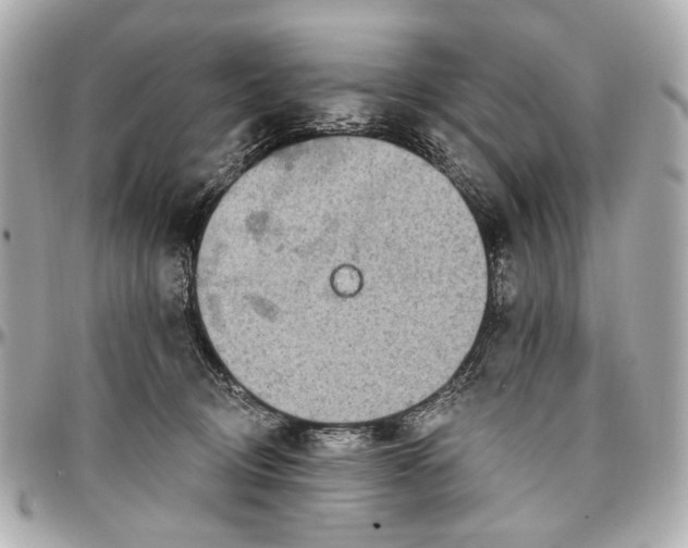 X0000096990370200802221503