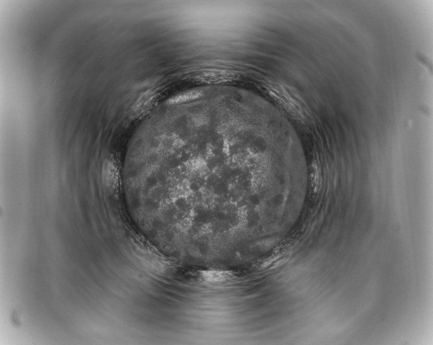 X0000096990371200802221503