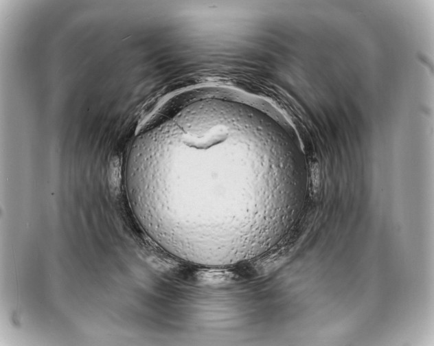 X0000096990372200802221503