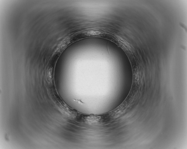 X0000096990373200802221503