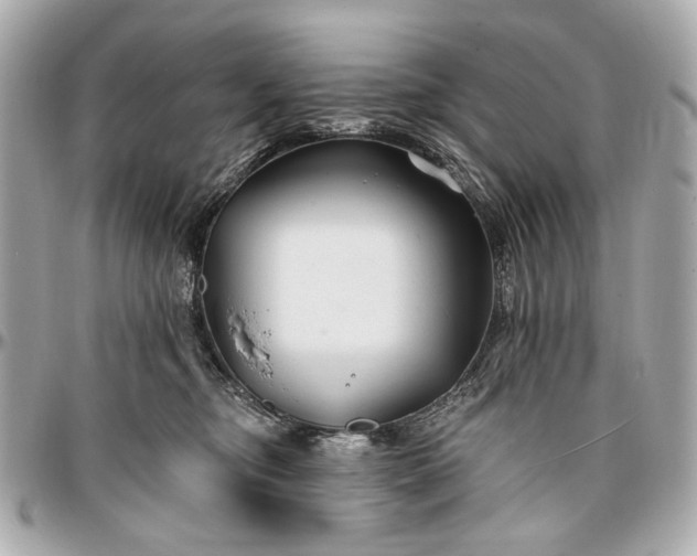 X0000096990374200802221503