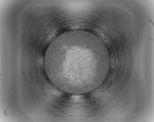 X0000096990375200802221503