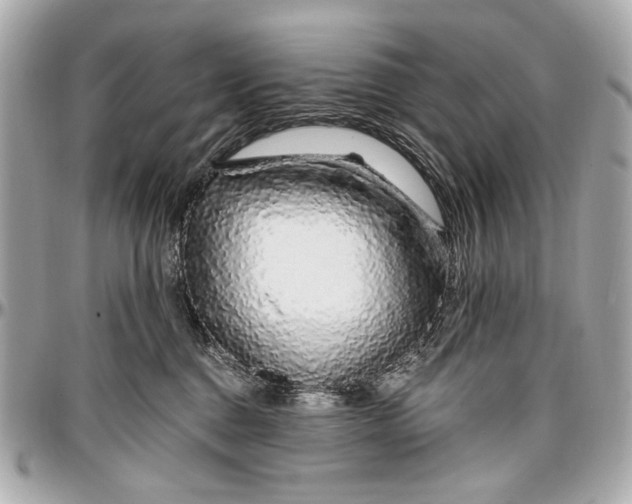 X0000096990376200802221503