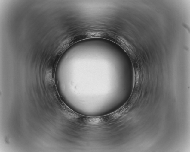 X0000096990377200802221503