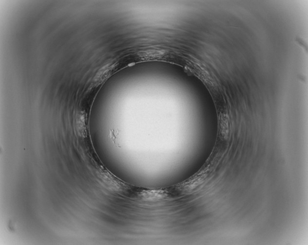 X0000096990378200802221504