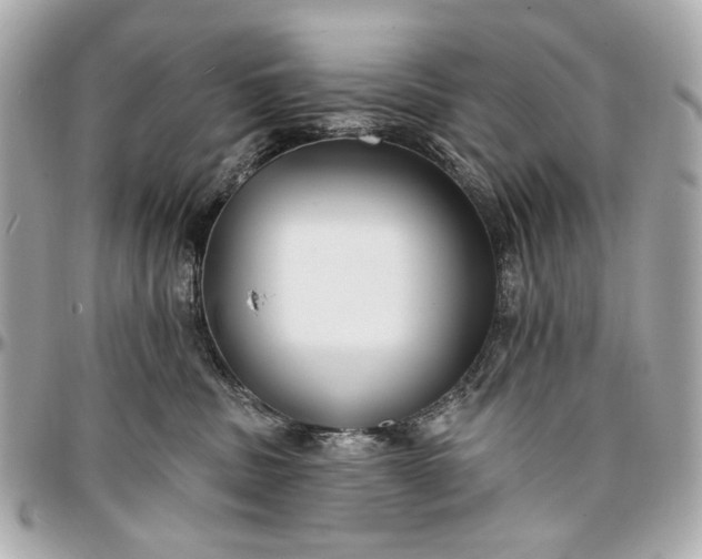 X0000096990379200802221504