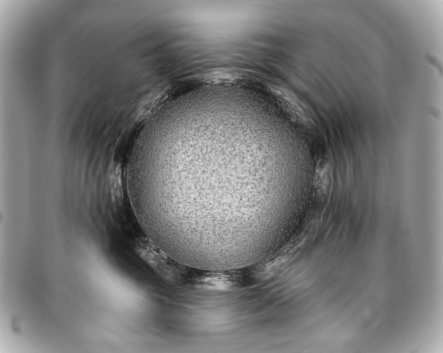 X0000096990381200802221504