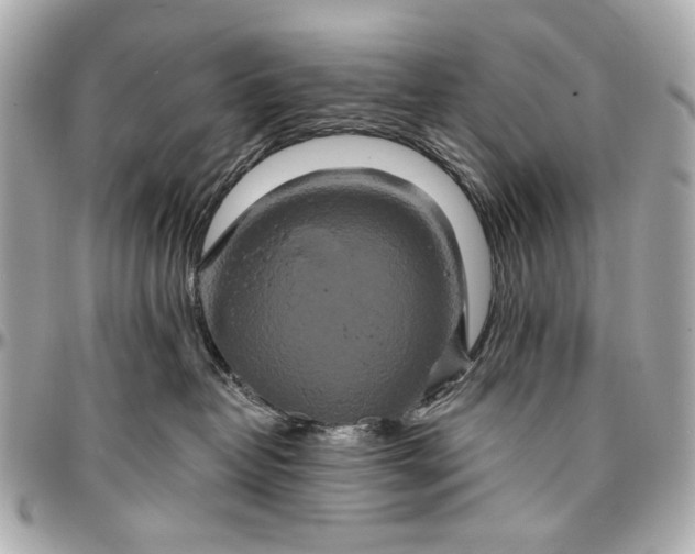 X0000096990382200802221504