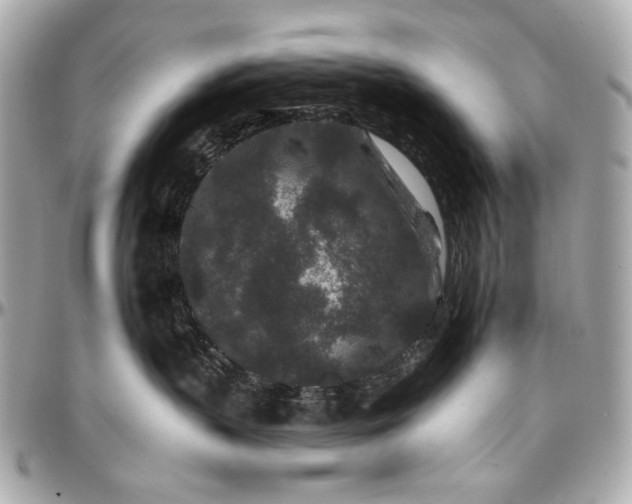 X0000096990383200802221504