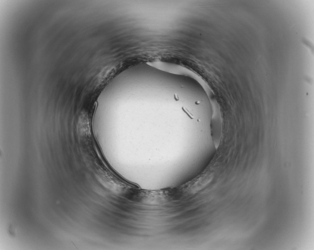 X0000096990384200802221504