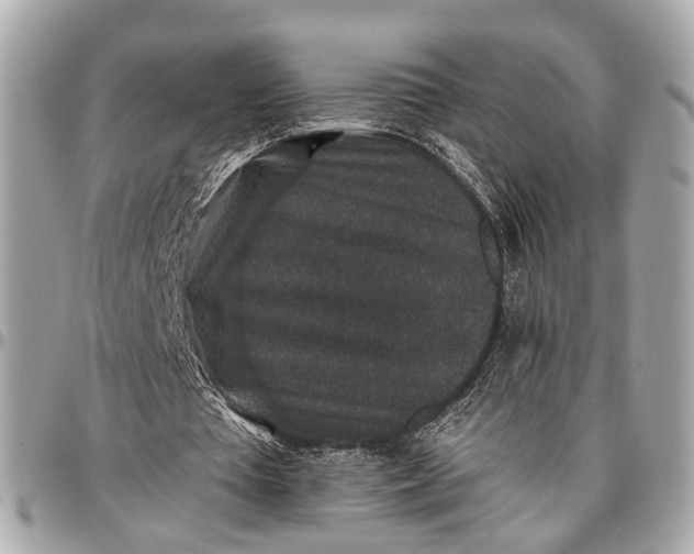 X0000096990385200802221503