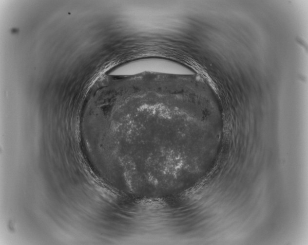 X0000096990386200802221503