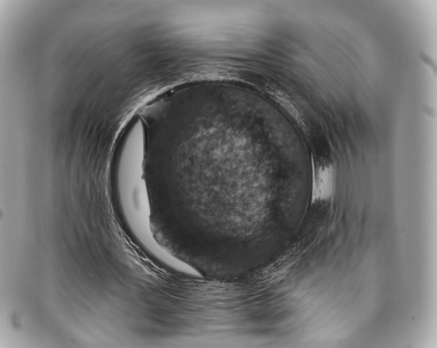 X0000096990387200802221503