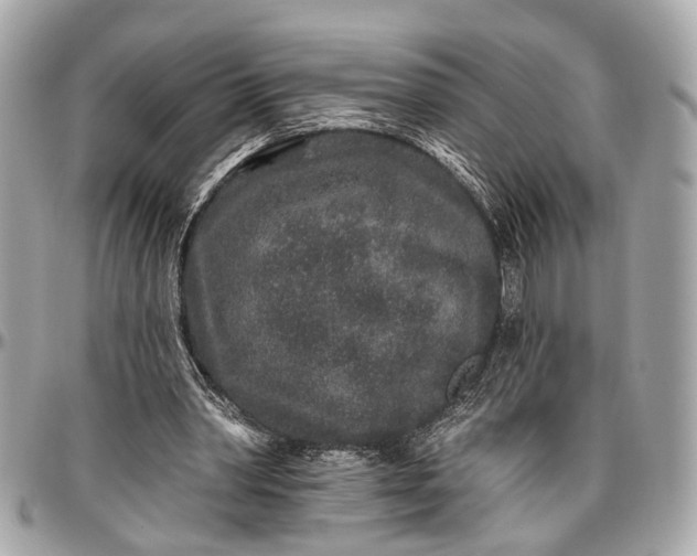 X0000096990390200802221503