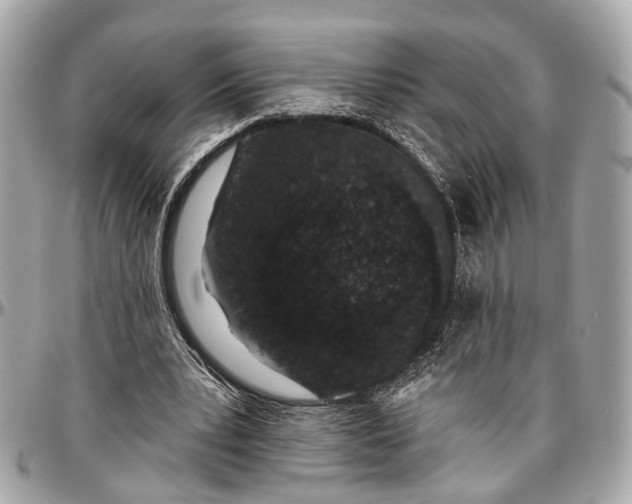 X0000096990391200802221503