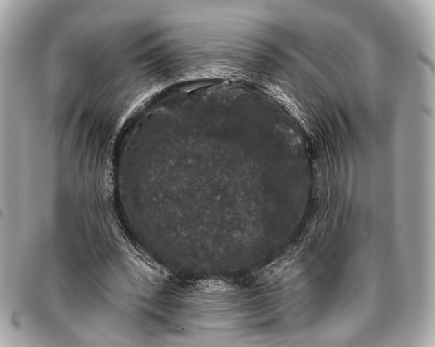 X0000096990392200802221503