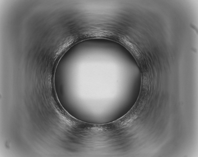 X0000096990394200802221503