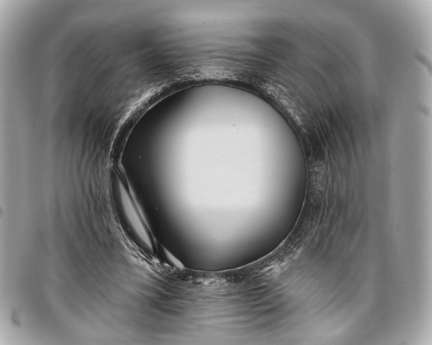 X0000096990395200802221503