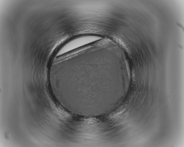 X0000096990396200802221503