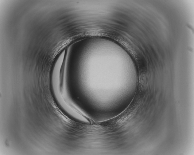 X0000096990397200802221503