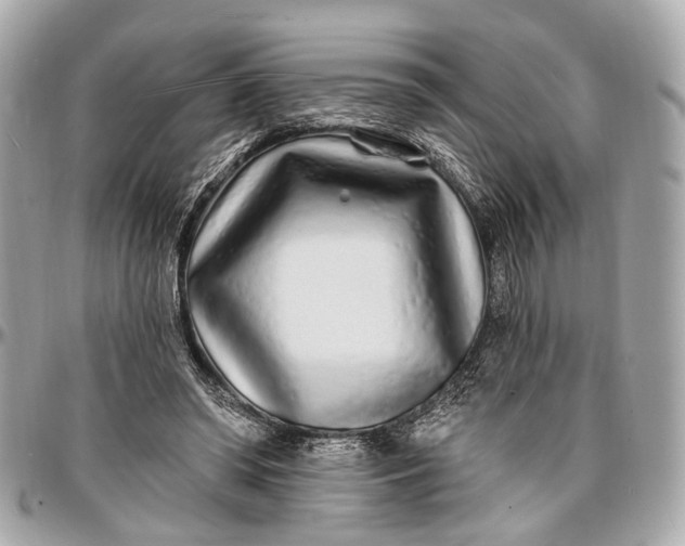 X0000096990398200802221503