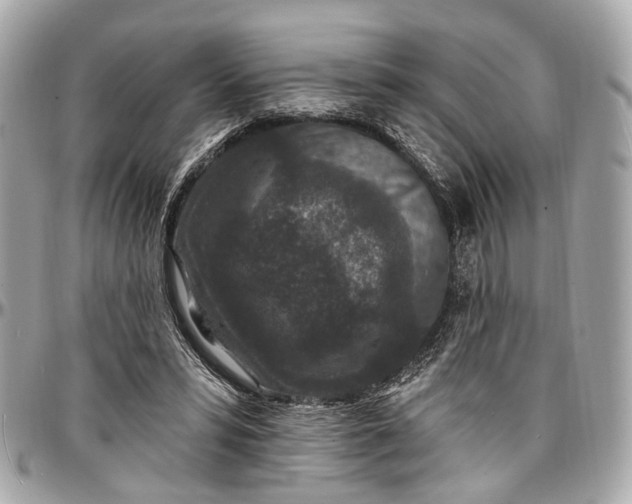 X0000096990399200802221503