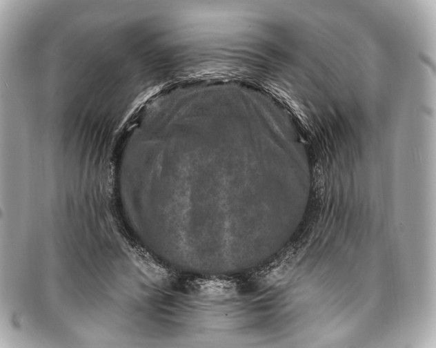 X0000096990400200802221503