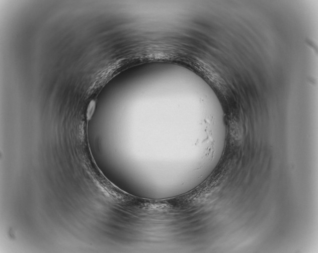 X0000096990401200802221503