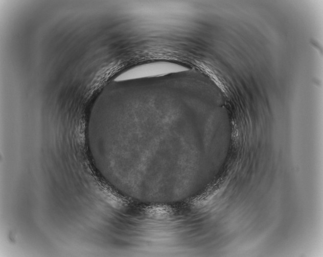 X0000096990402200802221503