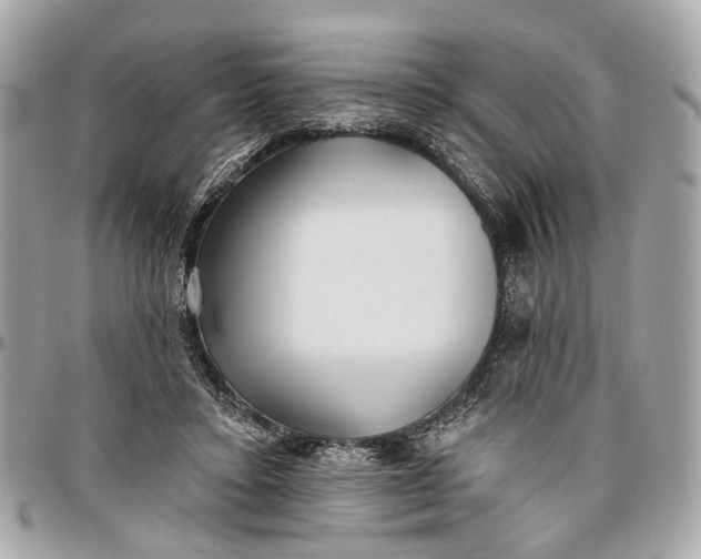 X0000096990403200802221503