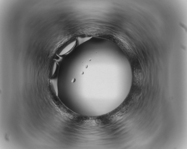 X0000096990404200802221502