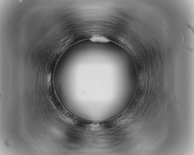 X0000096990406200802221502