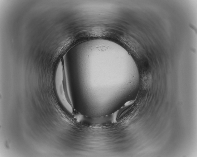 X0000096990407200802221502