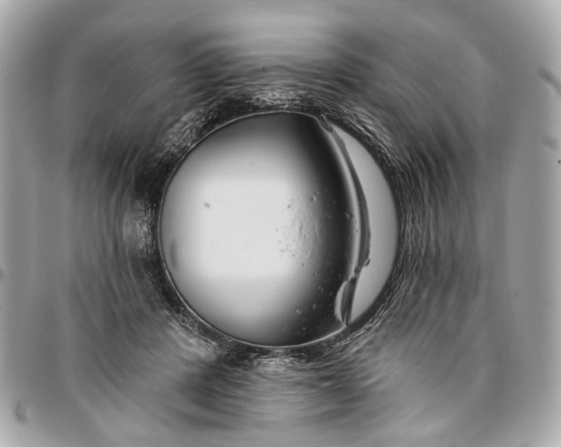 X0000096990408200802221502