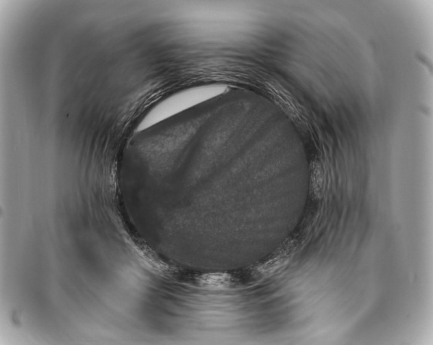 X0000096990410200802221502