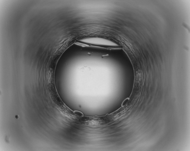 X0000096990412200802221502