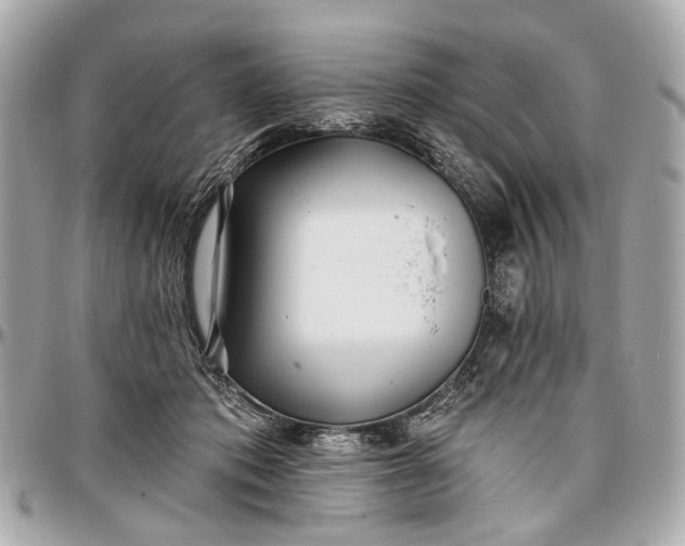 X0000096990413200802221502