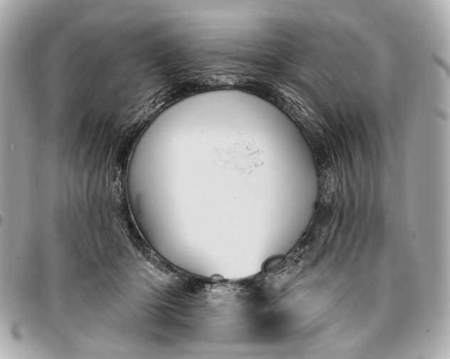 X0000096990414200802221502